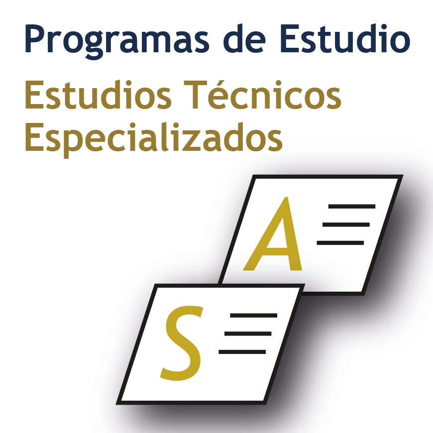 Programas de estudio