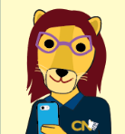 Pumita de Contabilidad